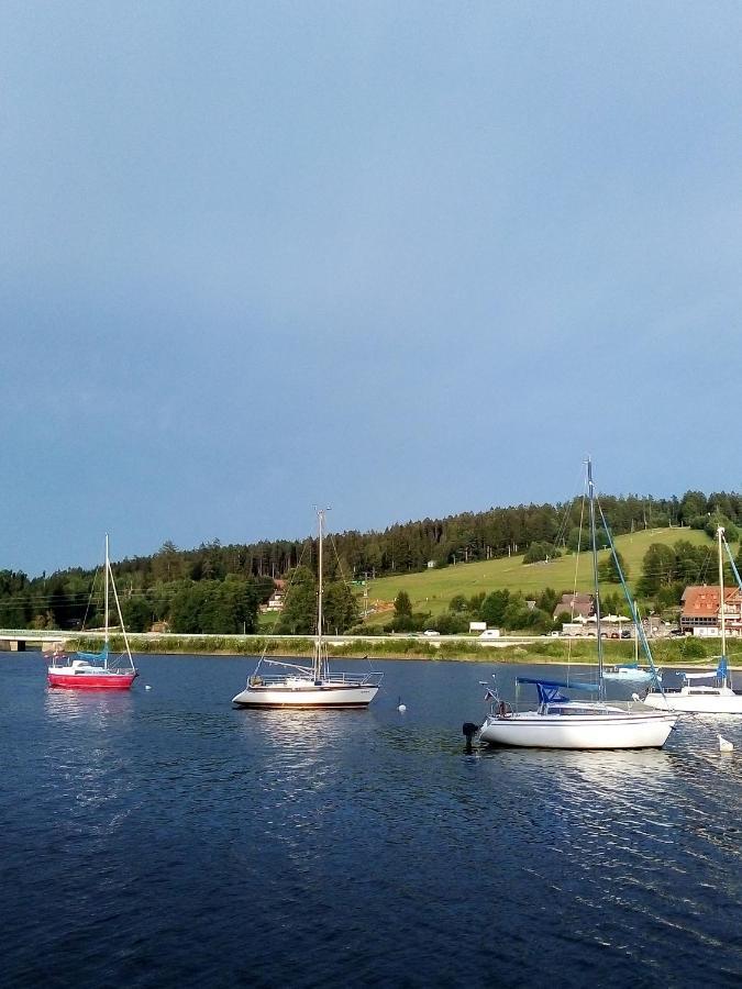 Apartman U Lipna, Pro Cyklisty, Motorkare Frymburk Exteriér fotografie