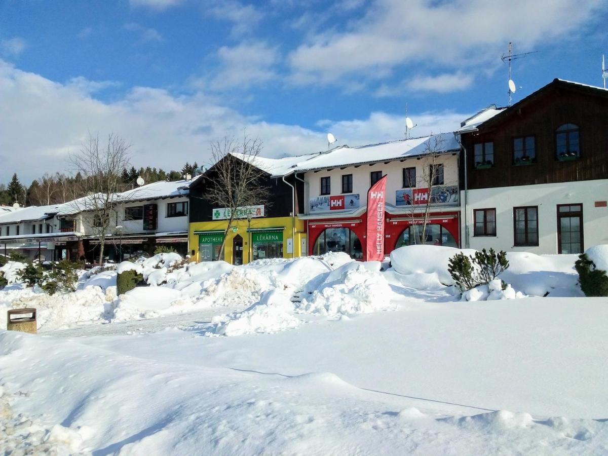 Apartman U Lipna, Pro Cyklisty, Motorkare Frymburk Exteriér fotografie